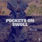Pockets On Swoll - GameRunnaZ Records & Tyroneus lyrics