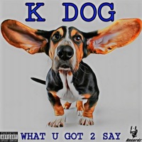 What U Got 2 Say - Single - K Dog