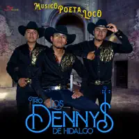 Cumbias Románticas — Trio Los Dennys de Hidalgo