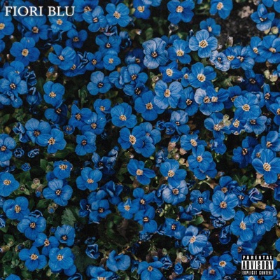 Fiori Blu - Single