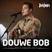 Beste Zangers 2023 (Douwe Bob) artwork