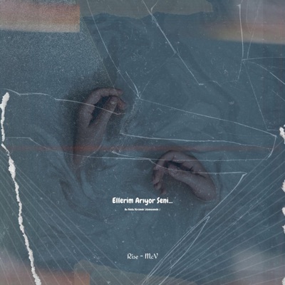 Ellerim Arıyor Seni (feat. Riseoffiziel) - Single