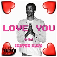 Love You Or Not - Single - Mister Mayo