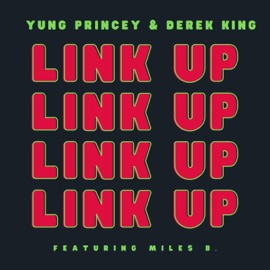 Link Up (feat. Miles B & N-Geezy) Yung Princey & Derek King