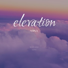 Elevation (feat. K3pha) [Remix] Micah LaRae