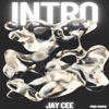 Intro - Single