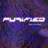 Purified (Dread Risks Remix) artwork