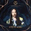 Steve Aoki