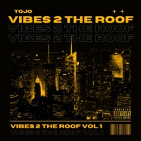 Vibes 2 the Roof - Single - Tojo