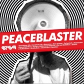 STS9 - Peaceblaster '08