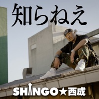 知らねえ - Single - Shingo Nishinari