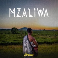 Driemo Mw - Fendela Fenduze
