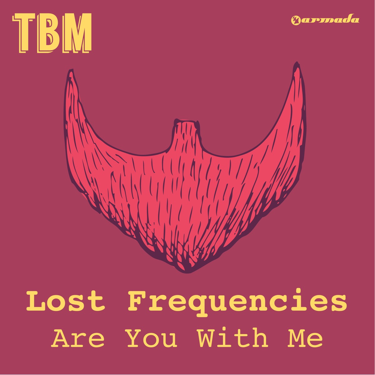 Where Are You Now - Song by Lost Frequencies & Calum Scott - Apple