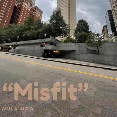 Misfit - Single