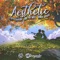 Aesthetic (feat. Nate AKA Nasty & Grace Louessa) - Chisongwriter lyrics