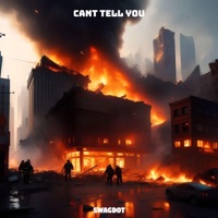 Cant Tell You - Single - Swagdot