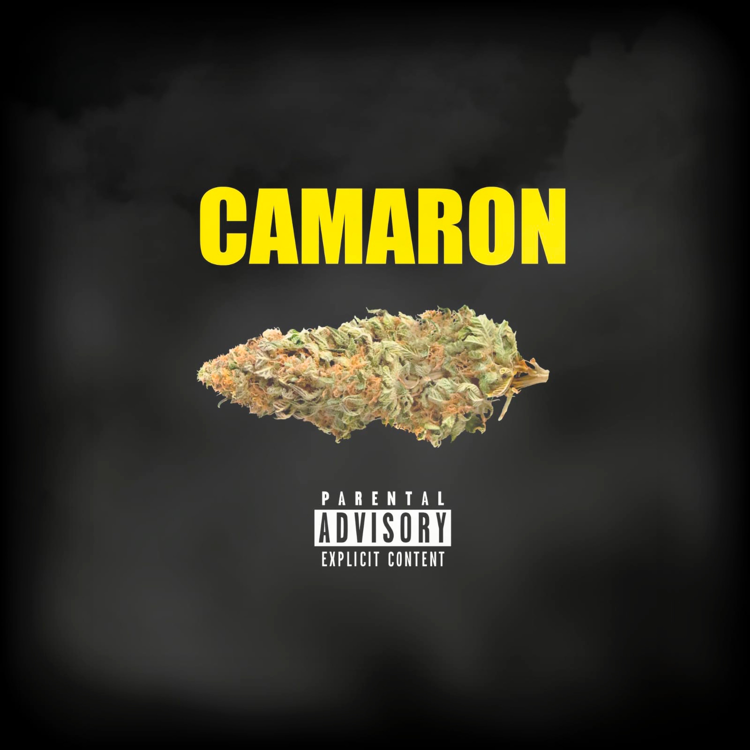 Camaron - Single