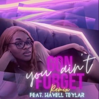 You Ain't Gon Forget (feat. Havell Teylar) [Remix] - Single - Camana Rayne