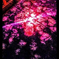 Cant Go Back - Single - Danny morpho