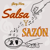Salsa y Sazón artwork