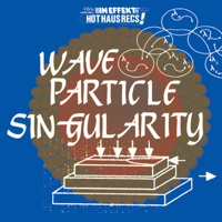 Jungian Therapy - Single - Wave Particle Singularity
