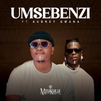 Umsebenzi (feat. Aubrey Qwana) - Single - Mzukulu