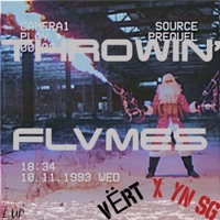 Throwin' Flvmes (feat. YN SG) - Single - Mike Vertical