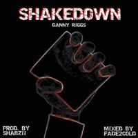 Shakedown - Single - Danny Riggs UK