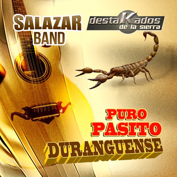 Puro Pasito Duranguense (Norteño)