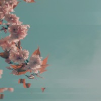 Wait My Turn - Single - GRAHAM