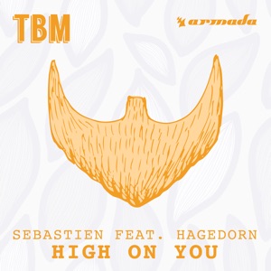 High On You (feat. Hagedorn) - Single