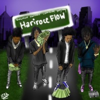 Hariroc Flow (feat. Babymook, Luhhslide & 1Yungzaay) - Single - HariRoc