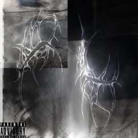 How I Flex! Levi Simon & Zyru