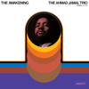 The Awakening - Ahmad Jamal Trio