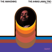 The Awakening cover