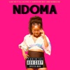 NDOMA (feat. DJ Active, Survivor Boy & Babes R.O) - Single