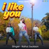 I Like You - Single