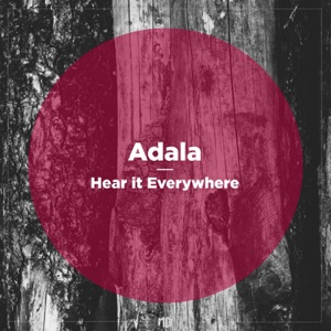 Hear It Everywhere (feat. LaVoyce) - Single
