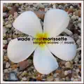 Wade Imre Morissette / Ganga River