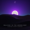 Walking In the Moonlight - Single