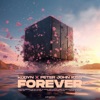 Forever (Extended Mix) - Single