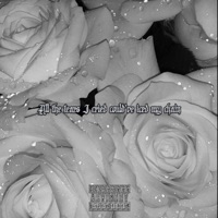 All the Tears I Cried Could've Iced My Chain - GNLUV