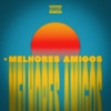 Melhores Amigos (feat. MC DL) - Single