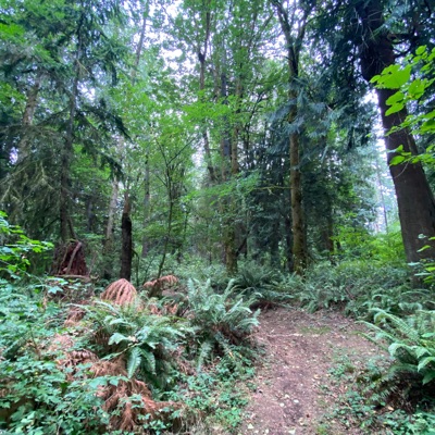 UNWANTED (feat. 9olar) - Single