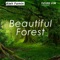 Beautiful Forest - Aleh Famin lyrics