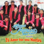 Tu Amor Fue una Mentira, Vol. 11 artwork