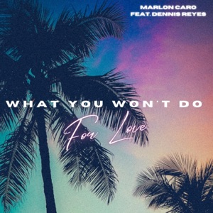 What You Won't Do For Love (feat. Dennis Reyes) - Single