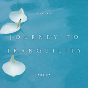 Journey to Tranquility - Evening Nature Sounds, Releasing Daily Tensions, Peaceful Night's Rest