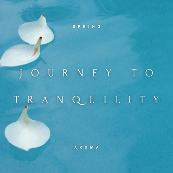 Journey to Tranquility - Evening Nature Sounds, Releasing Daily Tensions, Peaceful Night's Rest