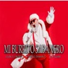 Mi Burrito Sabanero - Single